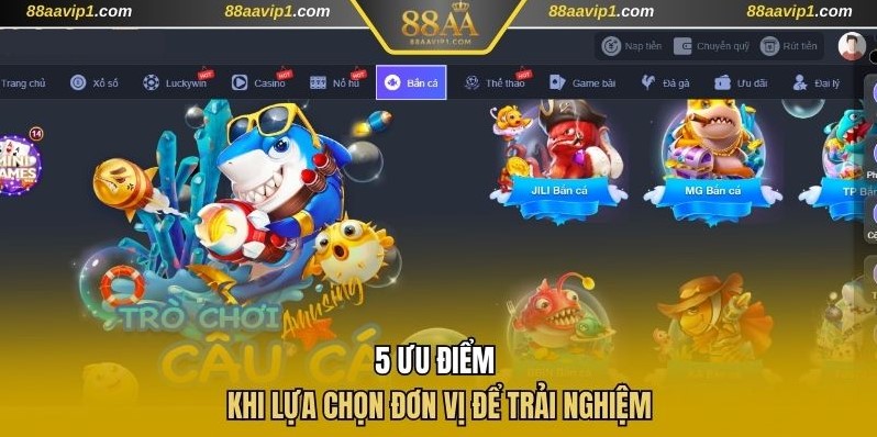 5 ưu điểm khi lựa chọn đơn vị để trải nghiệm