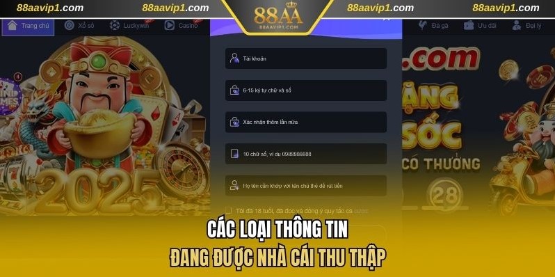 Các loại thông tin thu thập